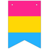 Pansexual Flag & Pride Community/Geschlechterflagg Wimpelkette (Erste Fahne)