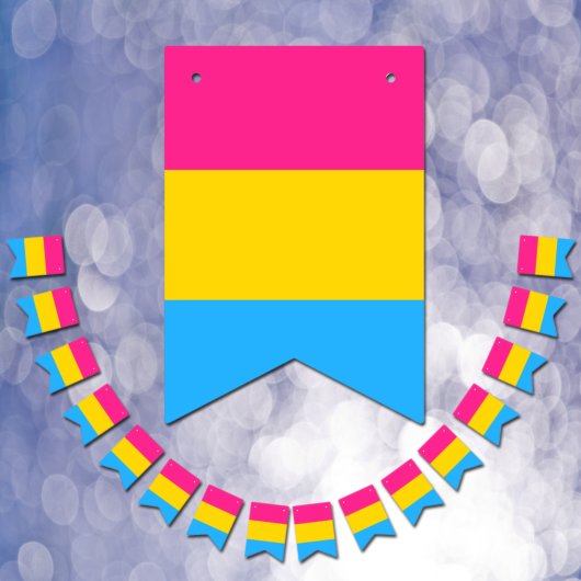 Pansexual Flag & Pride Community/Geschlechterflagg Wimpelkette