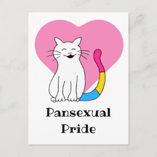 Pansexual Pride Cat Postkarte