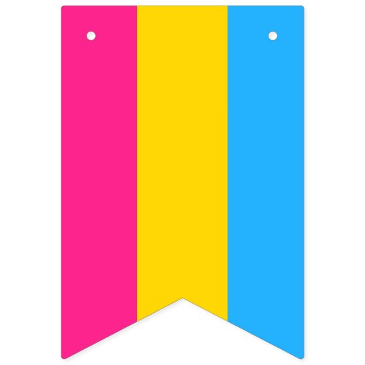 Pansexual Pride Flag Wimpelkette (Zweite Fahne)