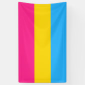 Pansexual Pride (Pan Flag) Banner (Vertikal)