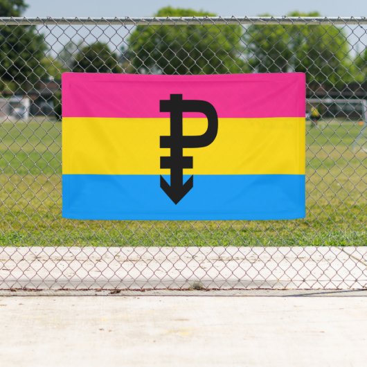 Pansexual-Stolperflagge Banner (Insitu)