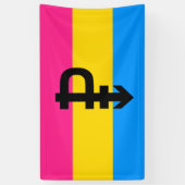 Pansexual-Stolperflagge Banner (Vertikal)