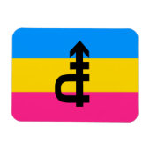 Pansexual-Stolperflagge Magnet (Horizontal)