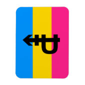 Pansexual-Stolperflagge Magnet (Vertikal)
