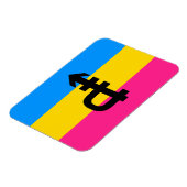 Pansexual-Stolperflagge Magnet (Linke Seite)