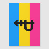 Pansexual-Stolperflagge Magneteinladung (Vorderseite)