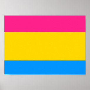 Pansexual-Stolperflagge Poster
