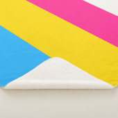 Pansexual-Stolperflagge Sherpadecke (3/4)