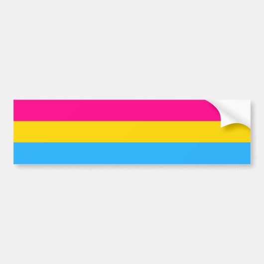 "PANSEXUAL STOLZ-FLAGGE " AUTOAUFKLEBER (Vorne)