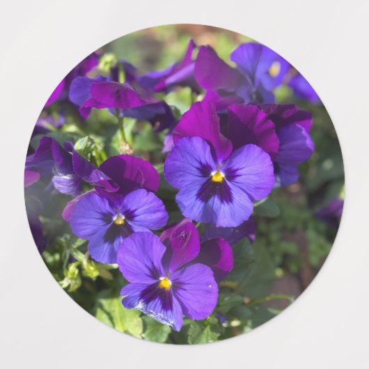 Pansies Return Address Labels Etiketten (Design 2)