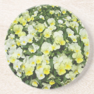 Pansies Yellow Bunch Sandstein Untersetzer