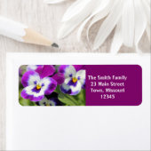 Pansy (Insitu)