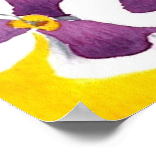 Pansy #4 Art Print Poster (Ecke)