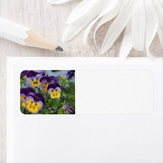 Pansy-Adressetikett (Insitu)