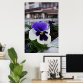 Pansy auf dem Bürgersteig Poster (Heimbüro)
