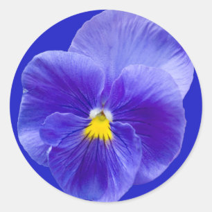 Pansy-Aufkleber Runder Aufkleber
