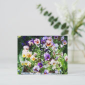Pansy B Karte (Stehend Vorderseite)