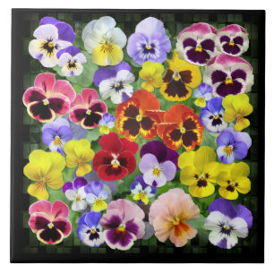 Pansy Beauty Fliese
