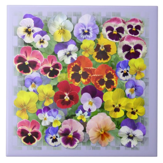 Pansy Beauty Fliese (Vorderseite)
