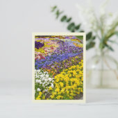 Pansy Bed Postcard Postkarte (Stehend Vorderseite)
