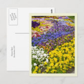 Pansy Bed Postcard Postkarte (Vorne/Hinten)