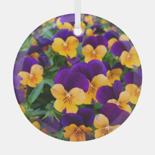 Pansy Bloom: Garden Beauty Nah-up. Ornament Aus Glas