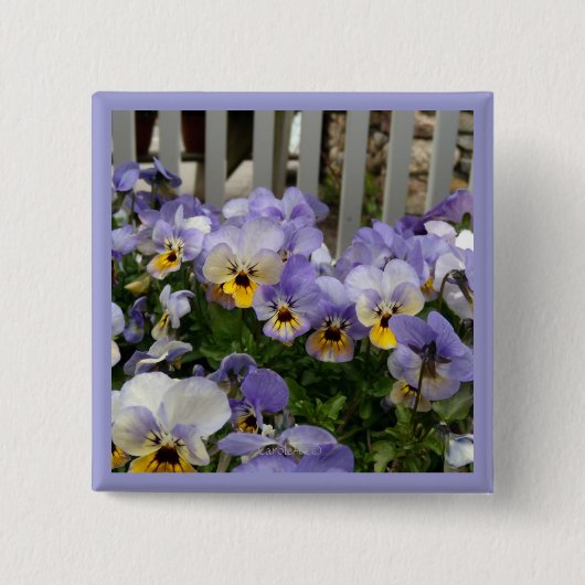 Pansy-Blues-Zaun Button (Vorderseite)