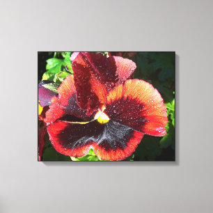 Pansy Blume Leinwand