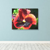 Pansy Blume Leinwand (Insitu (Holzboden))