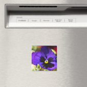 Pansy Blume Magnet (In Situ (Geschirrspüler))