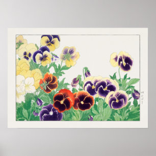 Pansy Blume, Rote, Lila und gelbe Stiefmütterchen, Poster