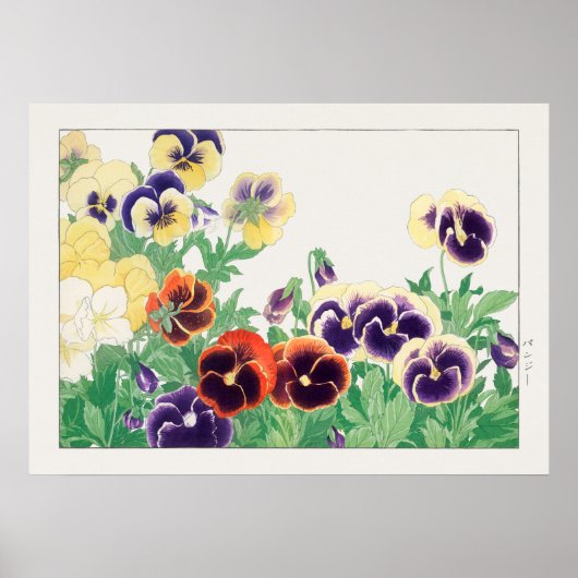 Pansy Blume, Rote, Lila und gelbe Stiefmütterchen, Poster (Vorne)