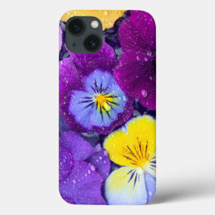 Pansy Blume schwimmen im Vogelbad mit Tau 2 Case-Mate iPhone Hülle