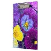 Pansy Blume schwimmen im Vogelbad mit Tau 2 Klemmbrett (Links)