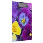 Pansy Blume schwimmen im Vogelbad mit Tau 2 Klemmbrett (Rechts)
