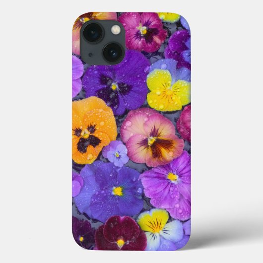 Pansy Blume schwimmen im Vogelbad mit Tau Case-Mate iPhone Hülle (Rückseite)