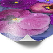 Pansy Blume schwimmen im Vogelbad mit Tau Fotodruck (Ecke)