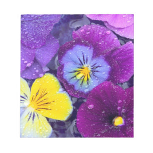 Pansy Blume schwimmen im Vogelbad mit Tau Notizblock