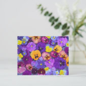 Pansy Blume schwimmen im Vogelbad mit Tau Postkarte (Stehend Vorderseite)