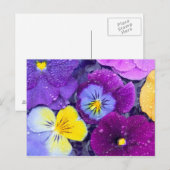 Pansy Blume schwimmen im Vogelbad mit Tau Postkarte (Vorne/Hinten)