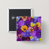 Pansy Blume schwimmen im Vogelbad mit Taube Button (Vorne & Hinten)