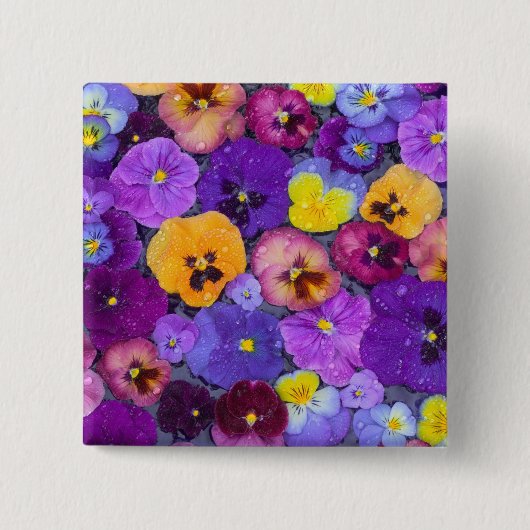 Pansy Blume schwimmen im Vogelbad mit Taube Button (Vorderseite)