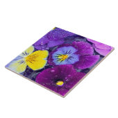 Pansy Blume schwimmen im Vogelbad mit Taube Fliese (Seite)