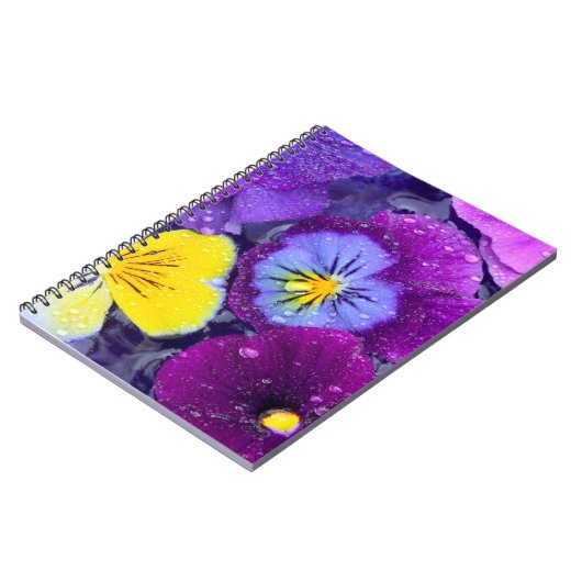 Pansy Blume schwimmen im Vogelbad mit Taube Notizblock (Linke Seite)