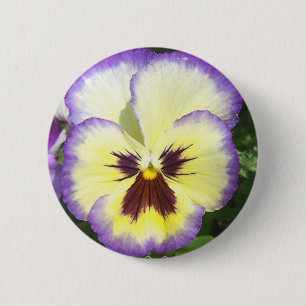 Pansy-Blume stellt ringsum Knopf dar Button