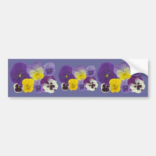Pansy-Blumen-Autoaufkleber Autoaufkleber (Vorne)