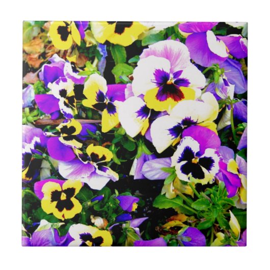 Pansy-Blumen Fliese (Vorderseite)