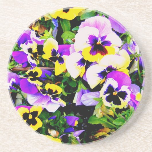 Pansy-Blumen Sandstein Untersetzer (Vorne)