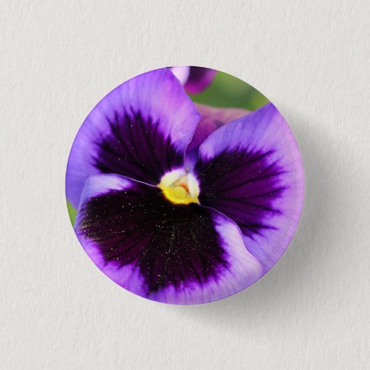 Pansy Button (Vorderseite)